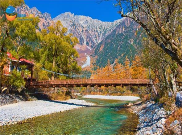 Tour Thiết Kế Nhật Bản 2025: Cung Đường Romantic Mùa Thu
